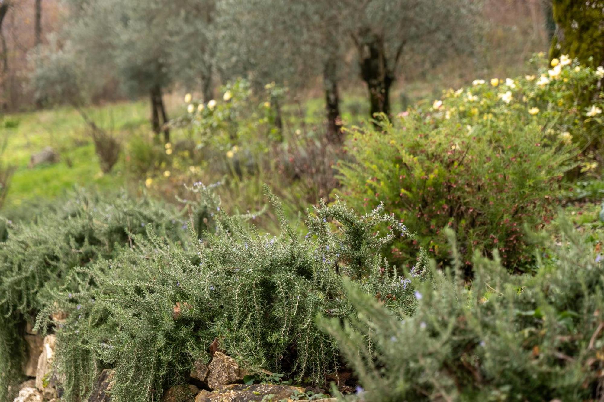 Masseria Boutique B&B Montella Buitenkant foto